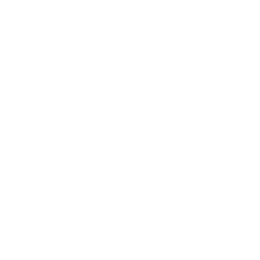 Formular Icon